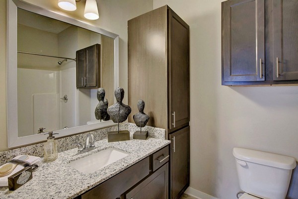 Apartment bathroom. Click to view the photo gallery.