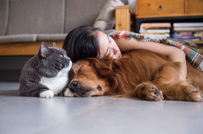 child curled up with pets